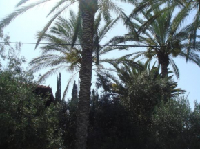 Lisa's Farm Place, Rishon Lezion